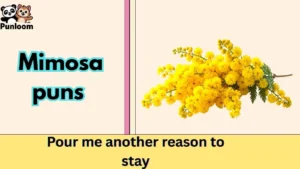 Mimosa puns
