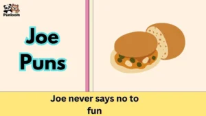 Joe Puns