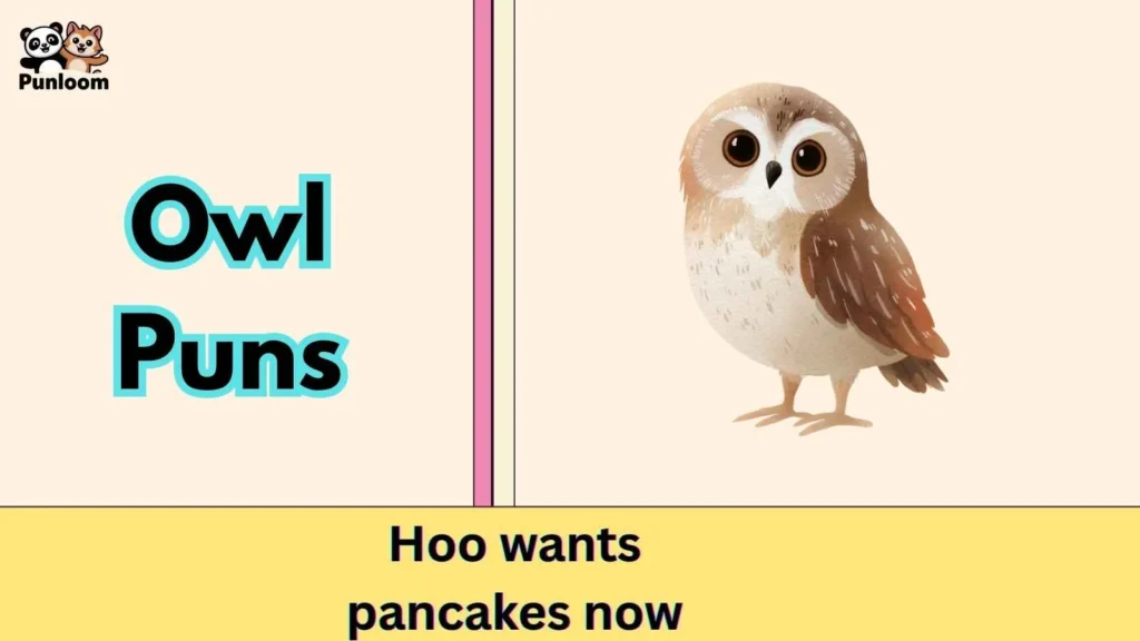 Owl Puns
