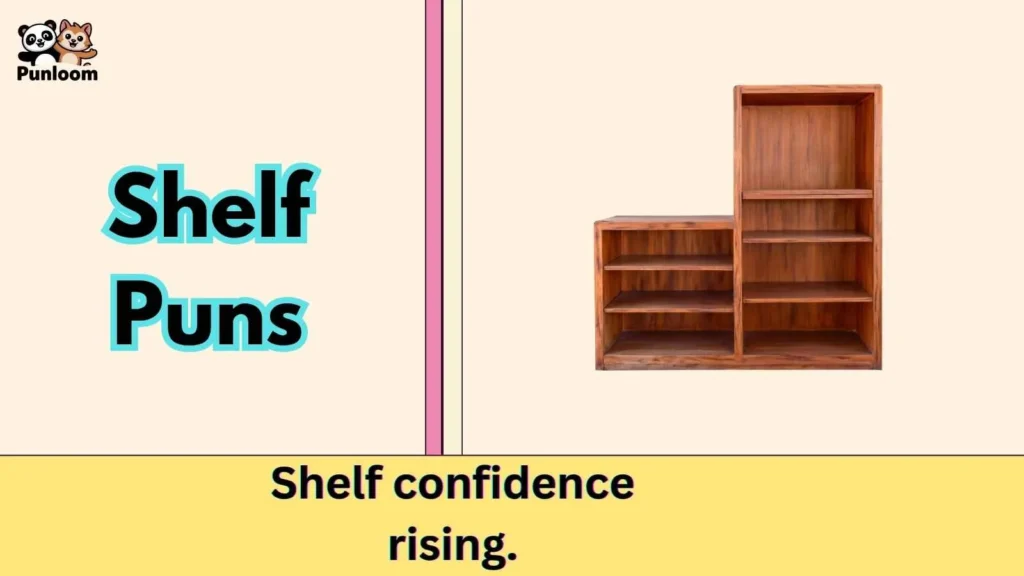 Shelf Puns