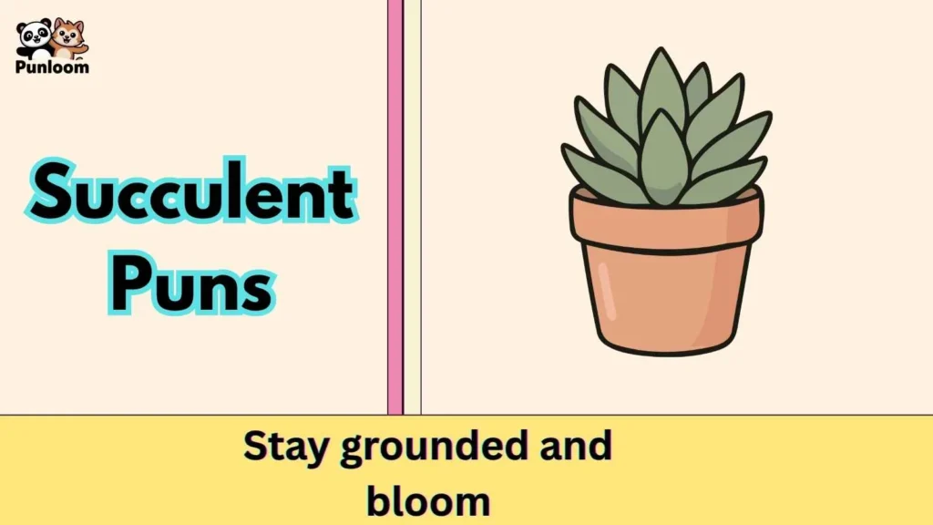 Succulent Puns