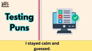 Testing Puns