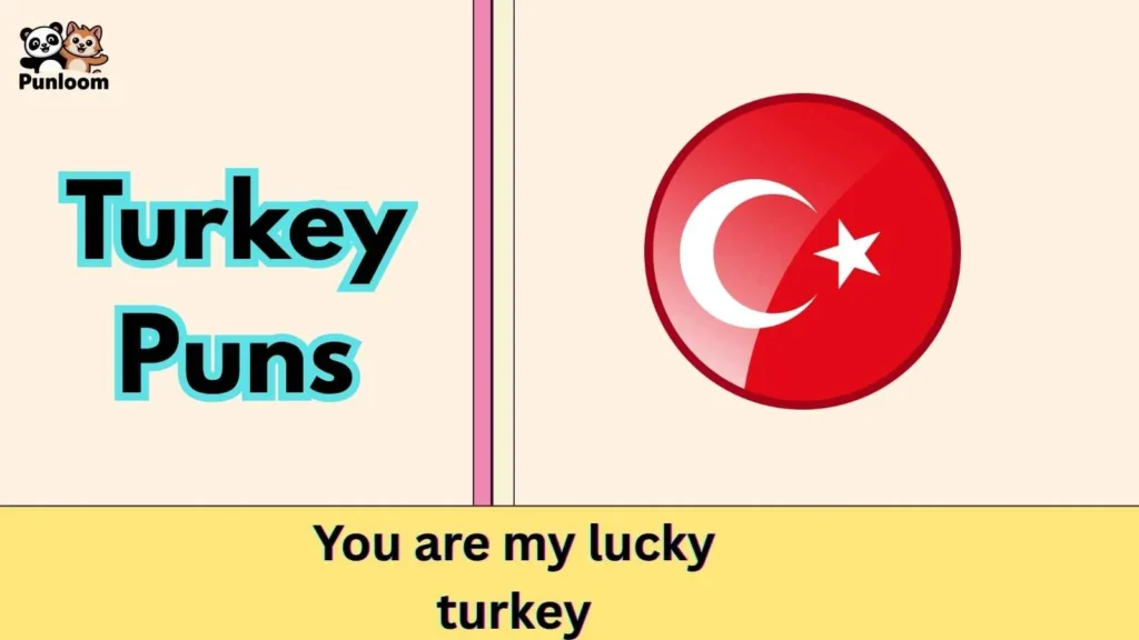 Turkey Puns