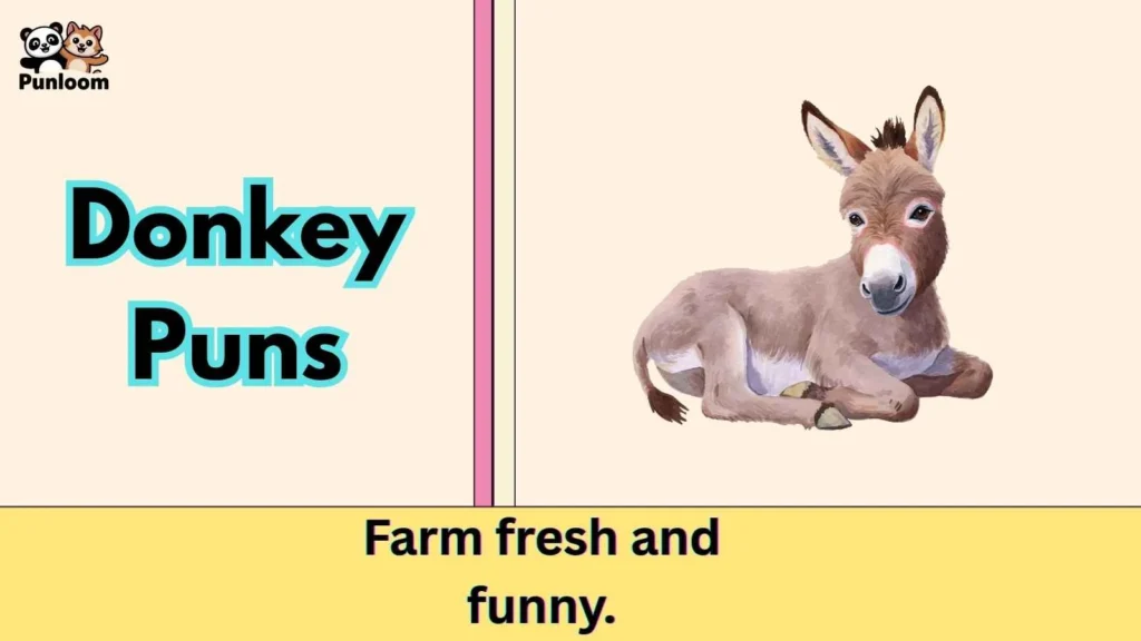 Donkey Puns