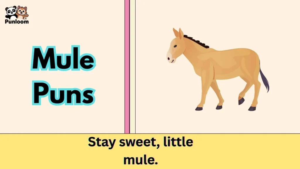 Mule Puns
