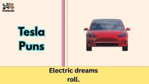 Tesla Puns