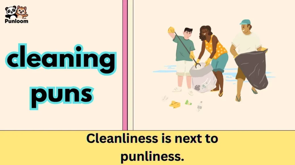 cleaning puns