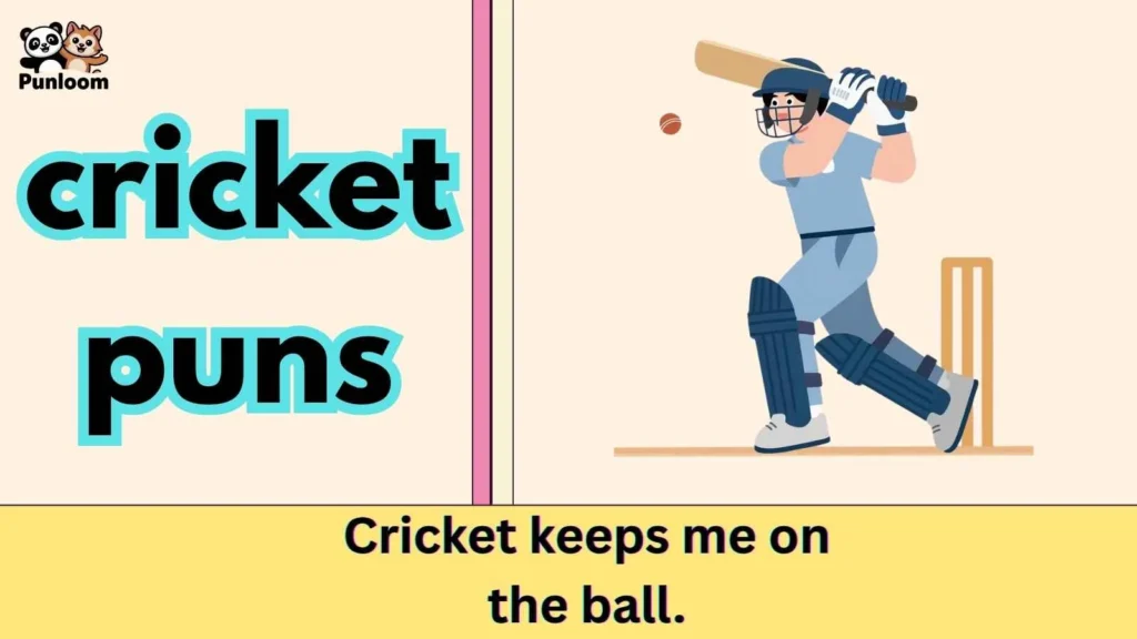 cricket puns