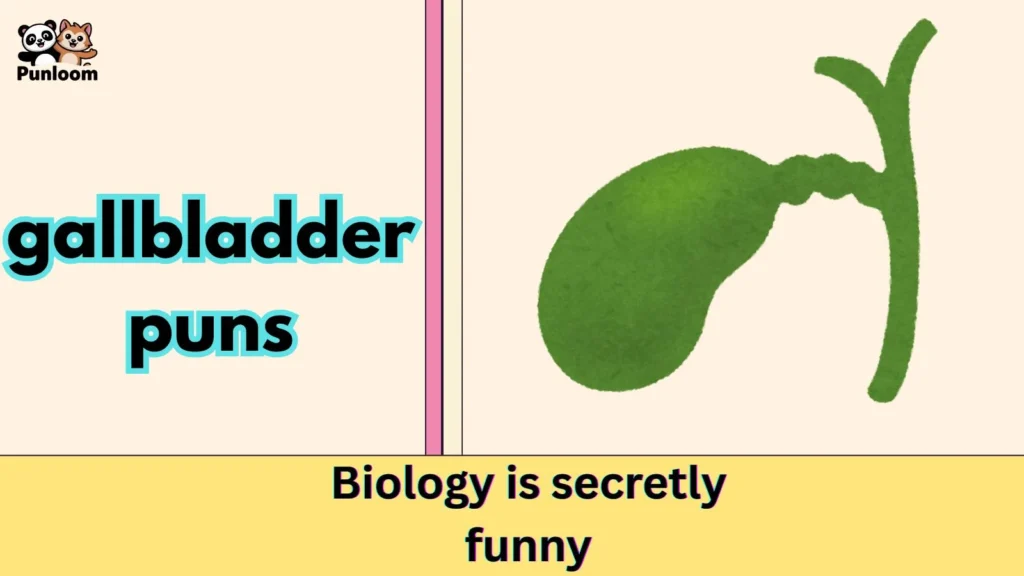gallbladder puns