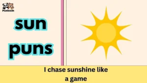 sun puns
