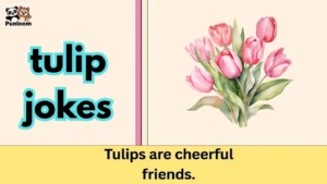 tulip jokes